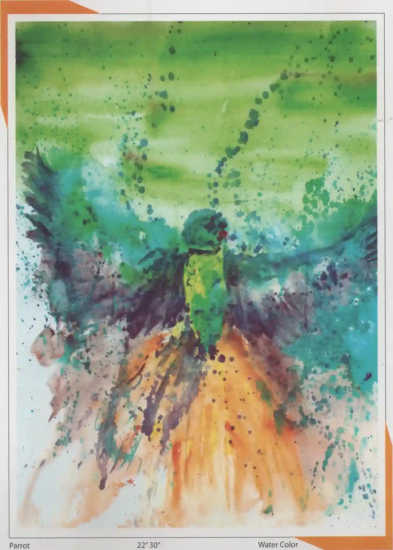 Beauty Of Natures, Solo Exhibition, Lisbon-2014-005