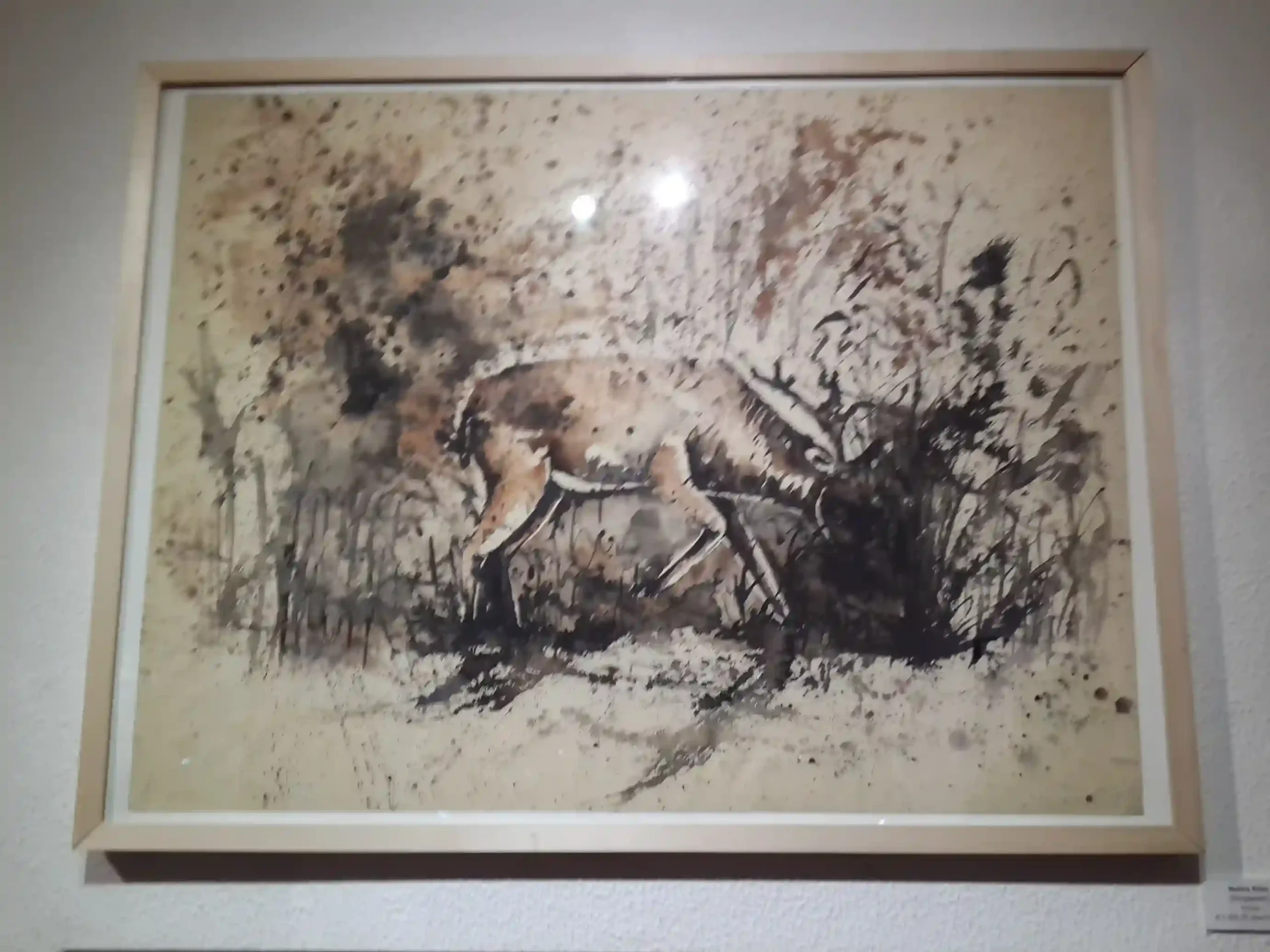 Beauty Of Natures, Solo Exhibition, Lisbon-2014-077