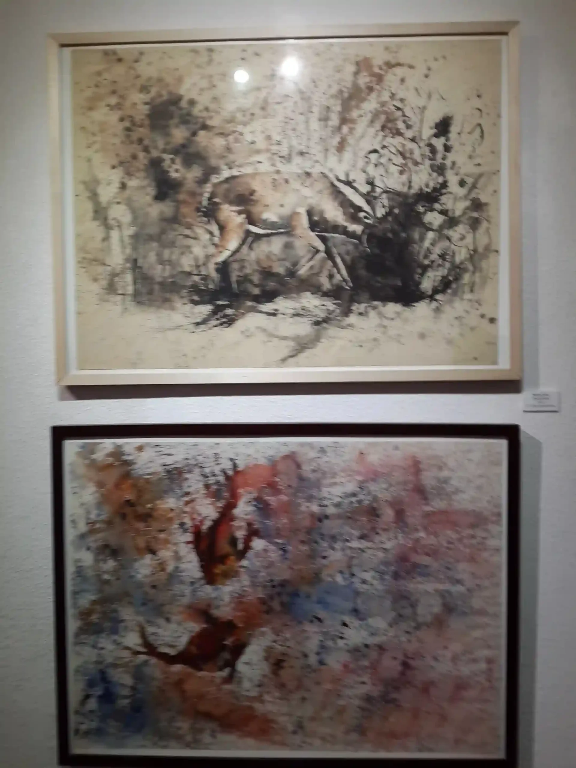 Beauty Of Natures, Solo Exhibition, Lisbon-2014-078